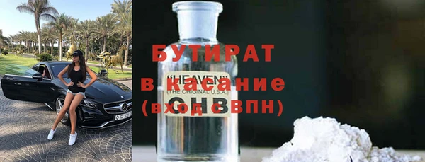 гидра Горняк