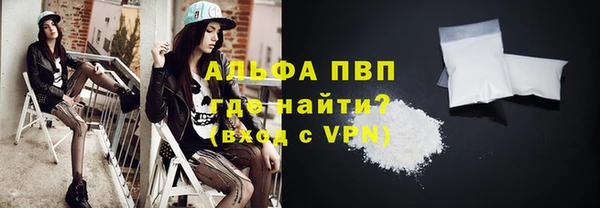 гидра Горняк