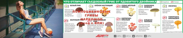 спиды Горно-Алтайск