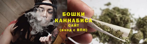 гидра Горняк