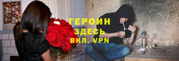 гидра Горняк