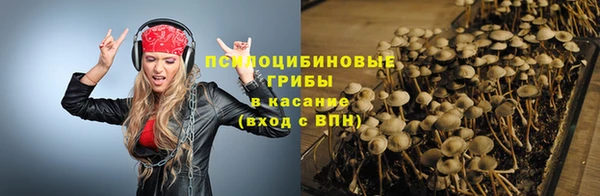 гидра Горняк