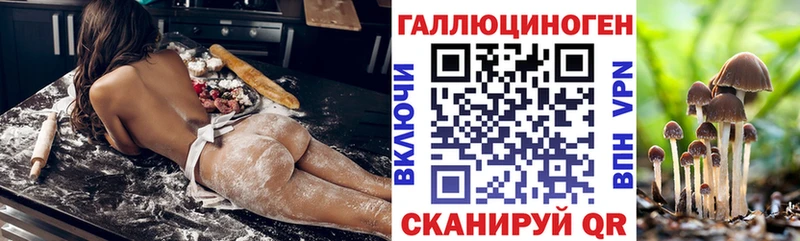 Купить  Кимры  Псилоцибиновые грибы мицелий 